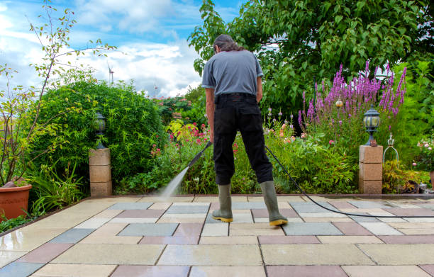 Best Dumpster Area Cleaning  in Arta, CA